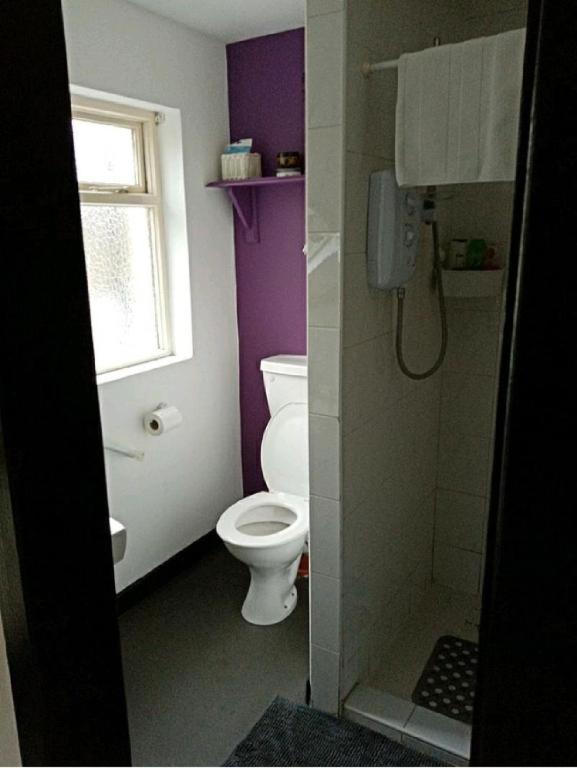Vila Townhouse Wexford Exteriér fotografie